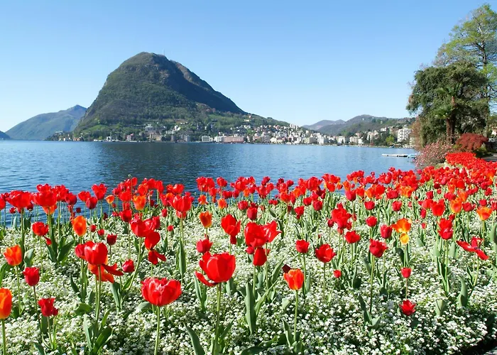 Little Lugano - Happy Rentals